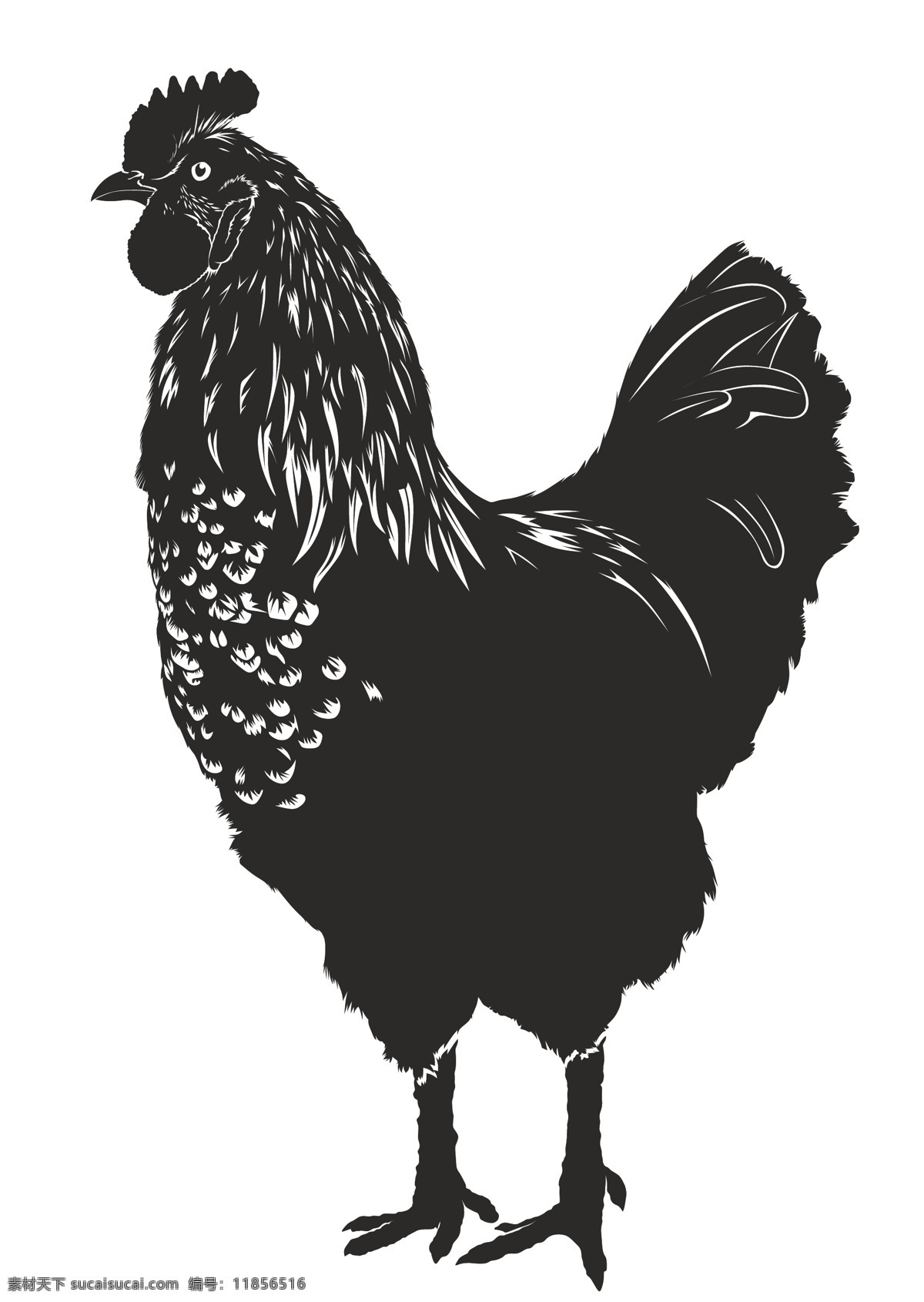 矢量大公鸡 矢量 插图 公鸡 绘画 水墨画 标志图标 其他图标