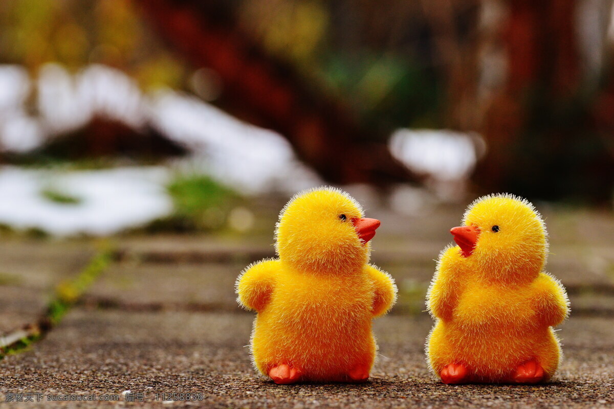 可爱 黄色 小鸡 玩具 复活节 复活节小鸡 萌小鸡
