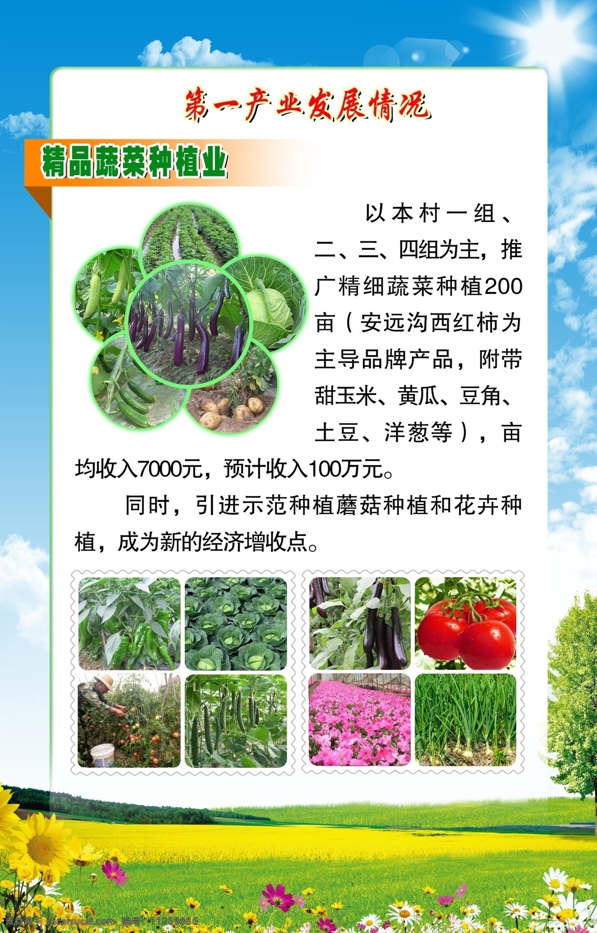 农副产品 精品蔬菜种植 农副 产品 精品 蔬菜 种植