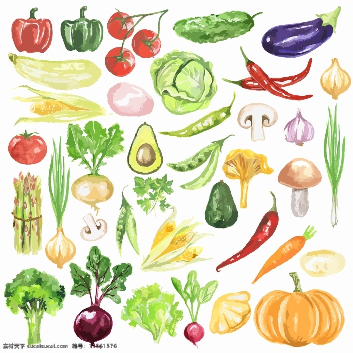 蔬菜 西红柿 花椰菜 素描 手绘 水果 矢量图 食物