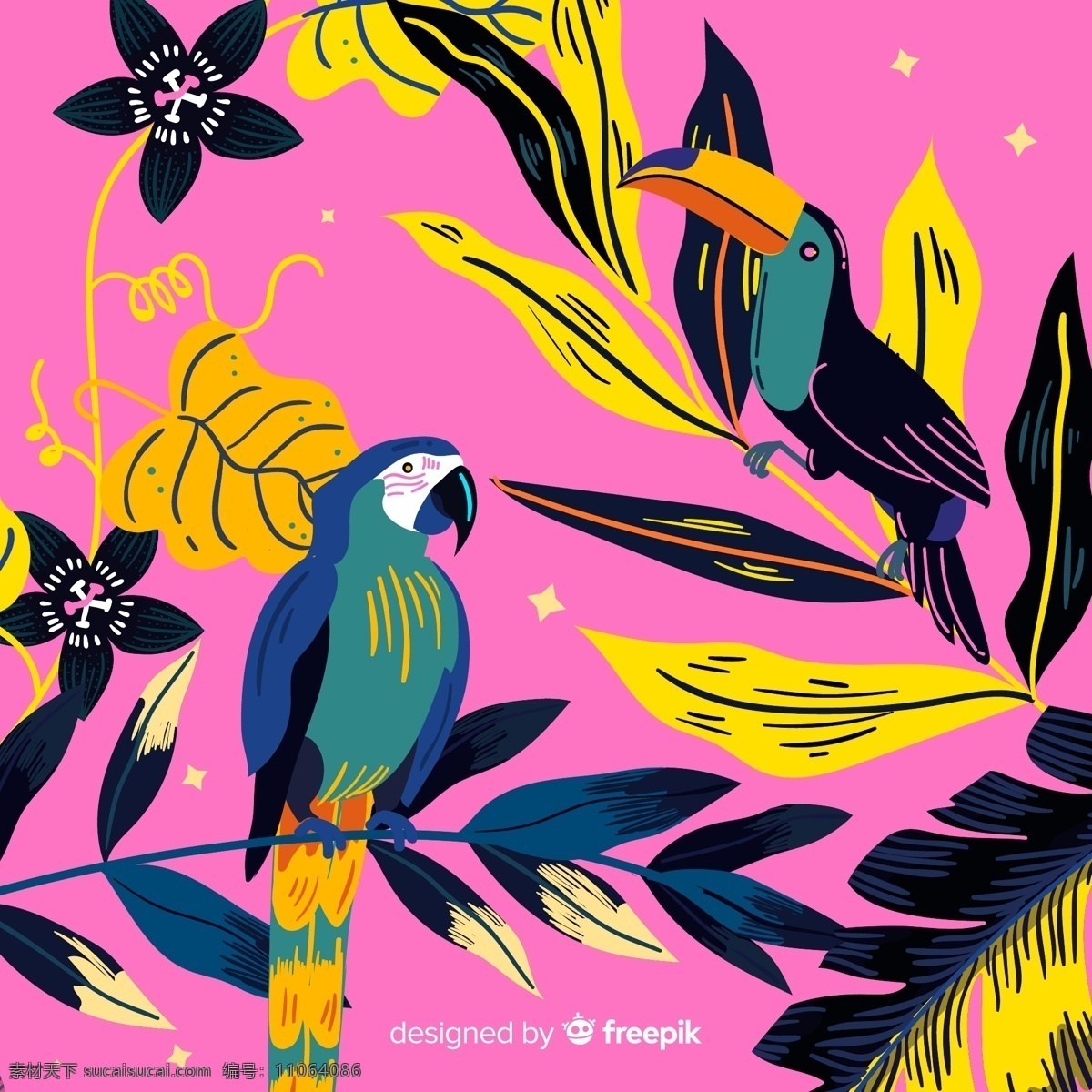 彩绘 热带 鹦鹉 大 嘴 鸟 大嘴鸟 树叶 树木 动物 生物世界 鸟类