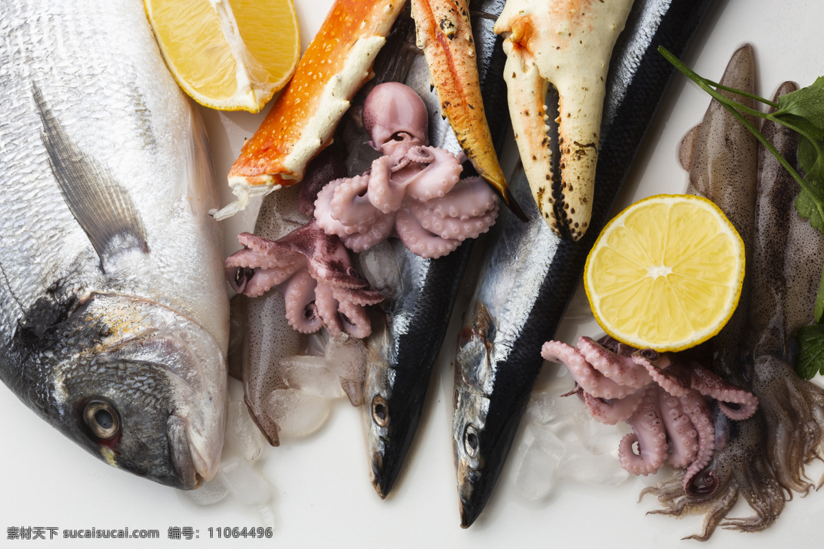 海鲜大杂烩 海鲜 新鲜 大鱼 龙虾 鲍鱼 珍品 生活百科 生活素材