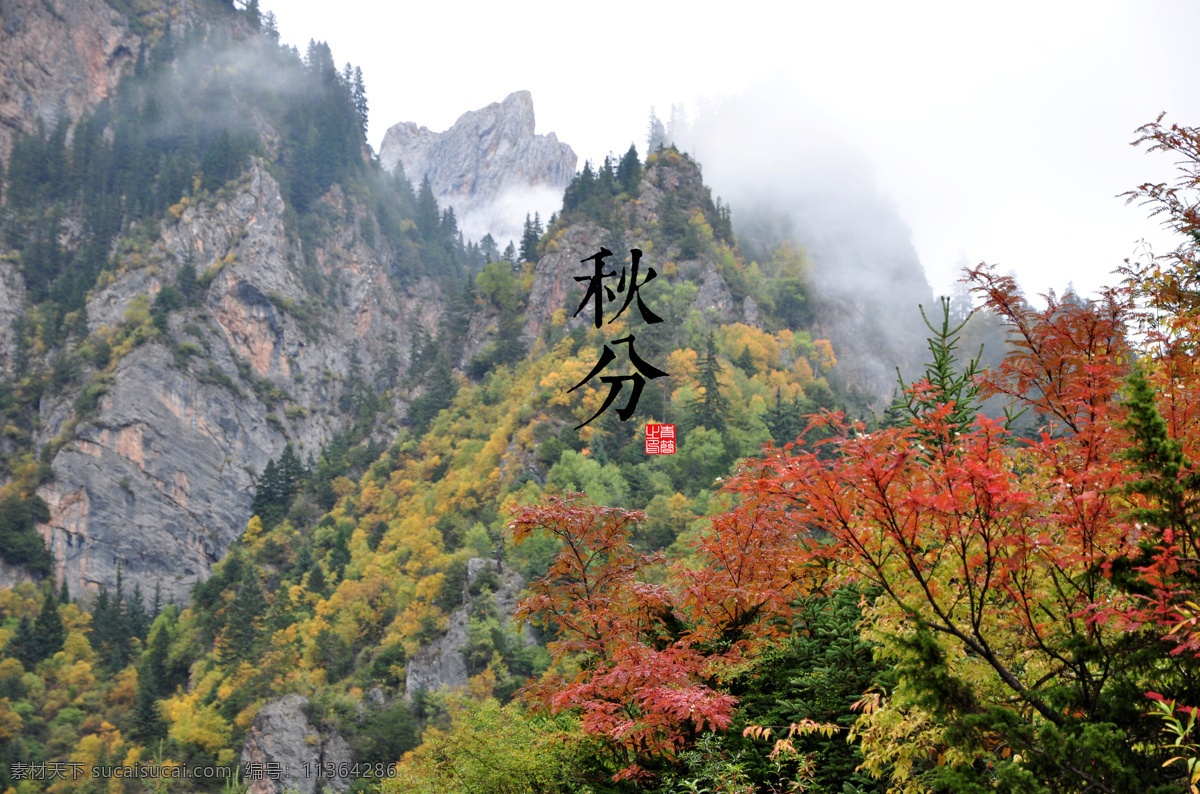 秋分 二十四节气 高清图 风景 自然风景 自然景观