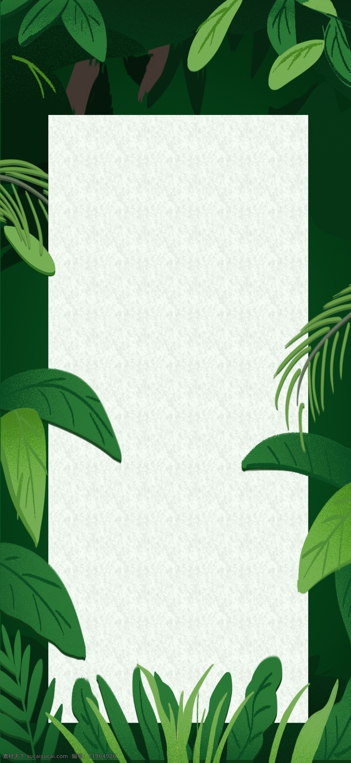 热带树叶背景 热带植物 树叶 绿色叶子 龟背竹 底纹边框 背景底纹 水彩 夏季 花边花纹 卡片 名片卡片 叶子 热带雨林 热带花卉 自然景观 自然风光