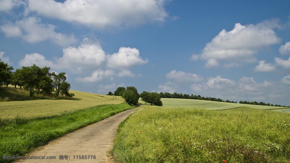 高清 绿色 田园 风景 乡村田园 乡村 村野 郊外