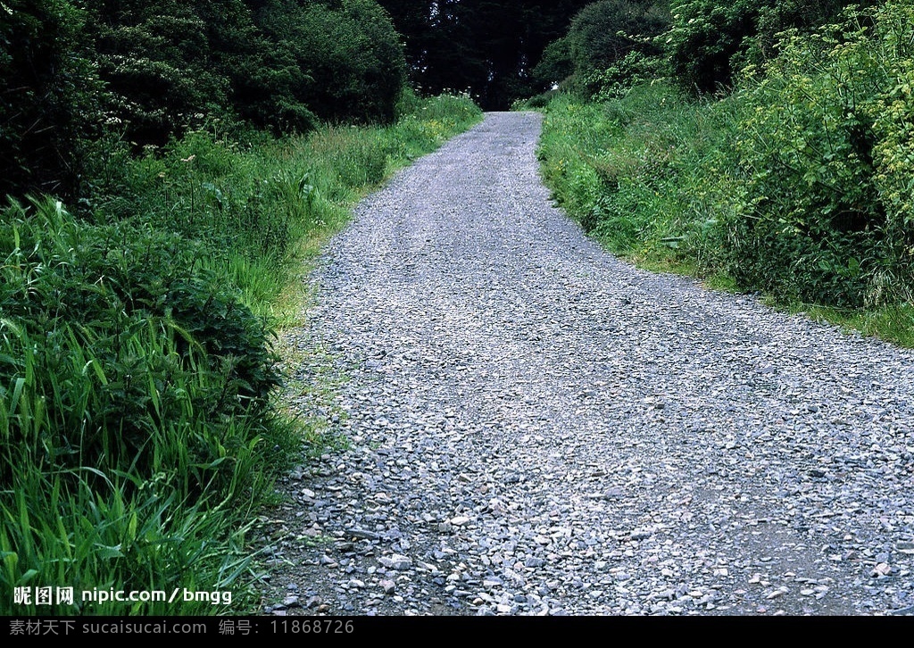 石子路 路 道路 马路 公路 路况 山路 小路 树林小路 摄影图库