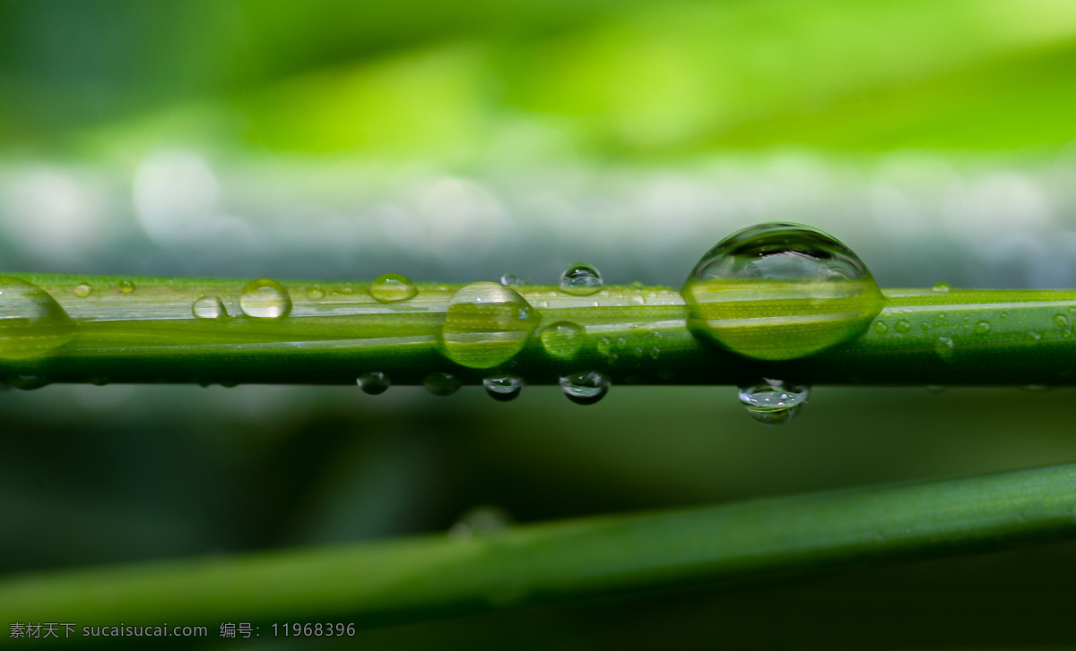 水珠摄影图 照片 彩色 绿色