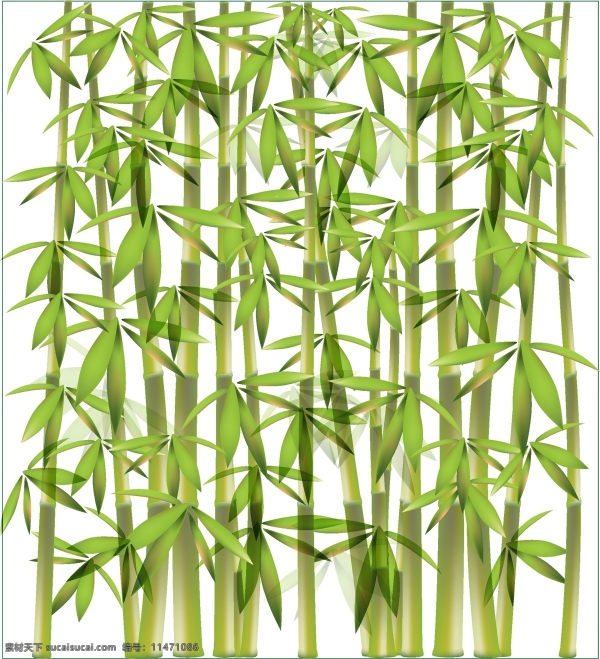 绿色 竹子 竹叶 矢量图 绿色竹子 竹子下载 空心竹 竹叶矢量 好看的竹子 白色