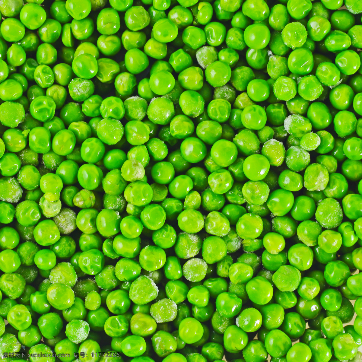 青豆 绿豆 小青豆 小绿豆 豌月豆 豆荚 豆角 蔬菜 蔬菜图片 豌豆图片 菜 生物世界