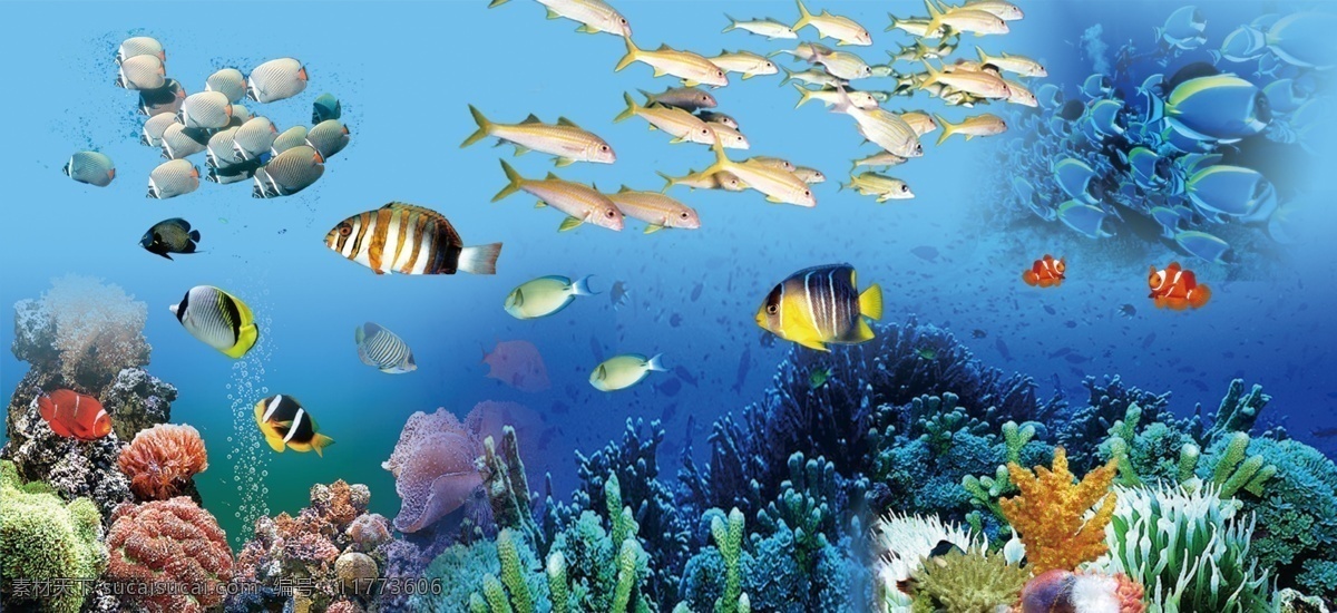 海底世界图片 海洋 海底 鱼 珊瑚 背景 水 海底世界 展板模板