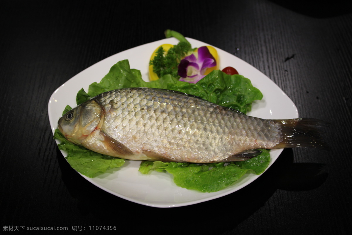 鲫鱼 餐饮美食 生鲜 蔬菜 西餐美食 鱼类 紫花 四大家鱼 白碟 生物世界