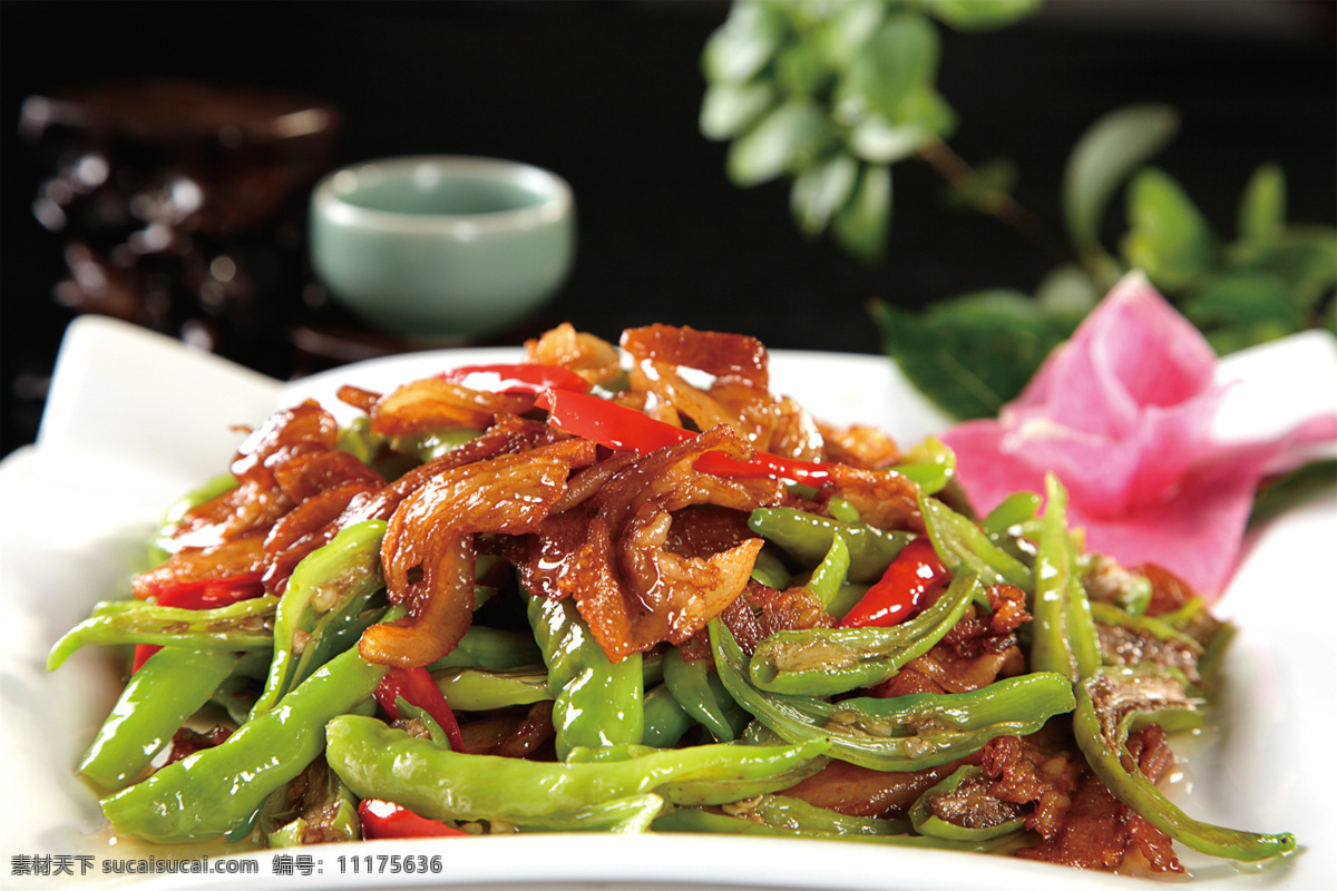 小炒肉 美食 传统美食 餐饮美食 高清菜谱用图