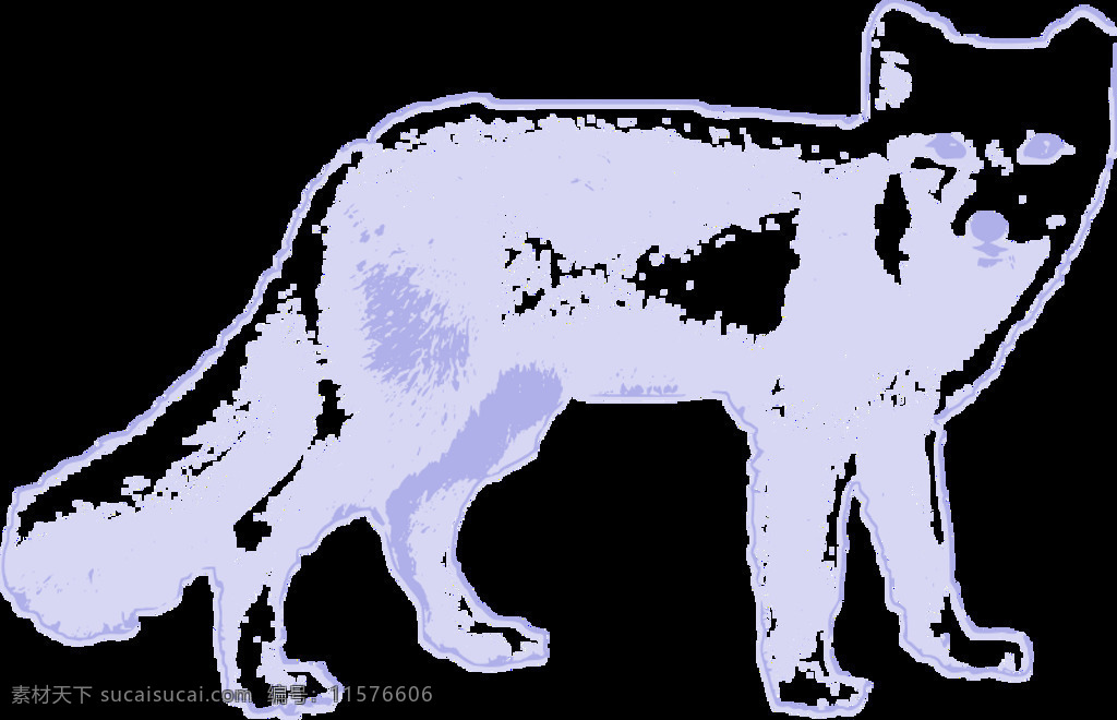 北极 狐狸 北 哺乳动物 动物 冷 雪 野生动物 北极的 毛皮 极性 食肉动物 冻原 白色的 野生的 插画集
