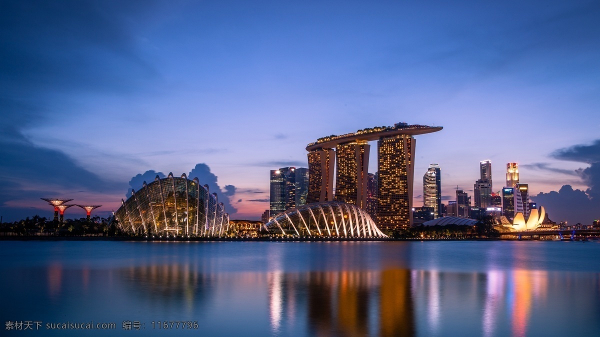 新加坡 海滨 湾 美丽 夜景 摄影图片 灯光 环境设计 建筑设计 海滨湾 装饰素材