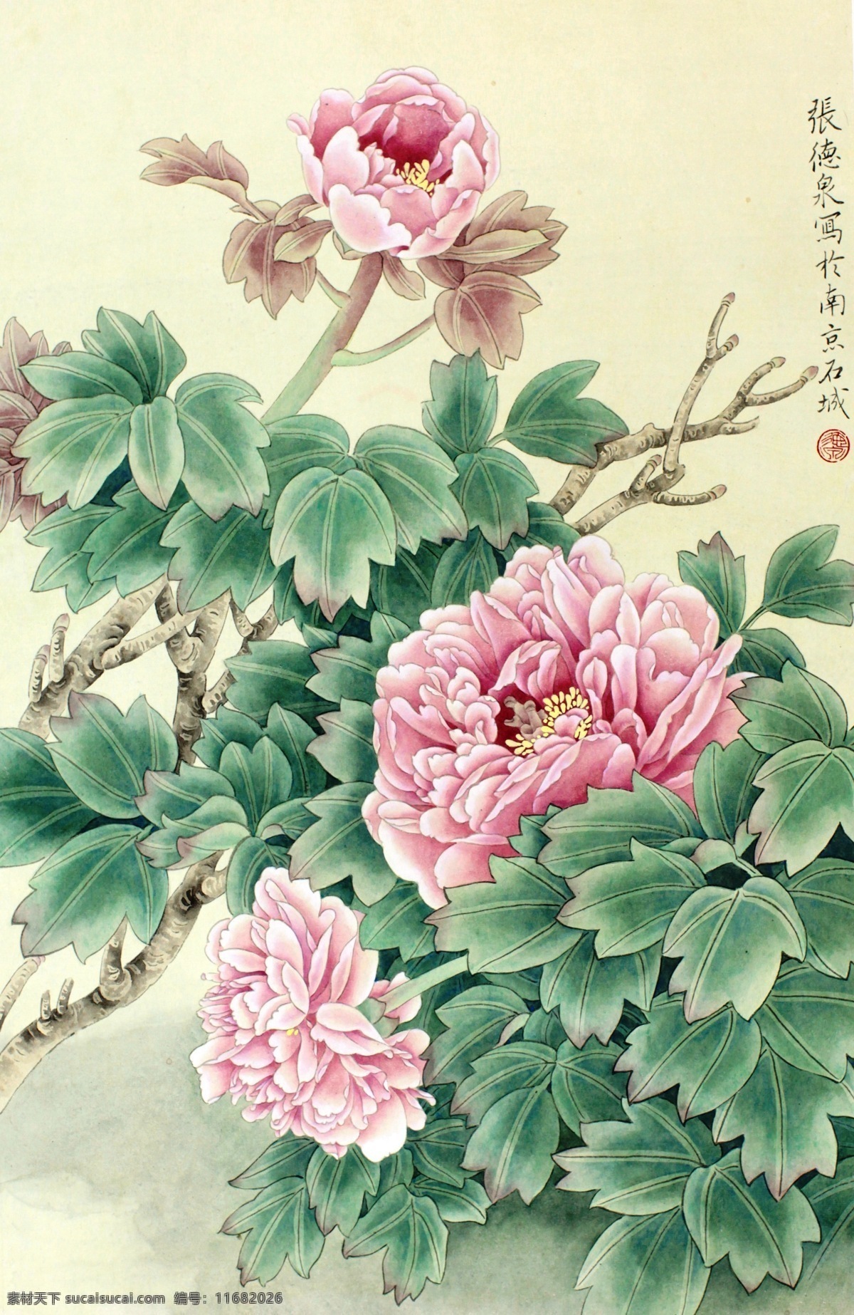 红牡丹 牡丹 国画 花鸟画 工笔画 张德泉 绘画书法 文化艺术