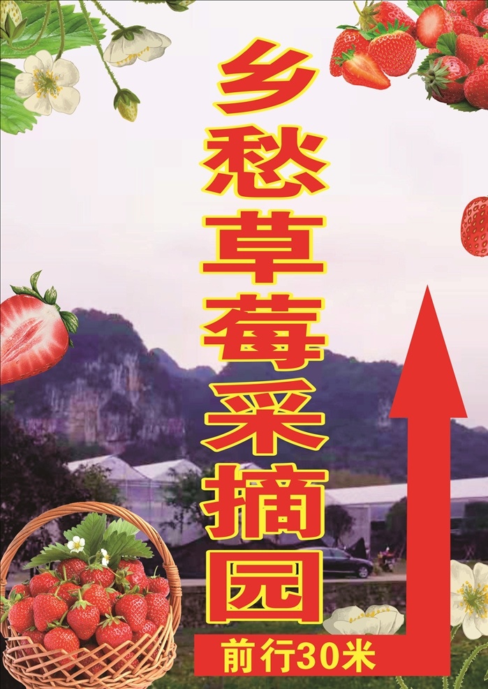 草莓采摘园 草莓 采摘园 草莓园 乡愁 前行30米 喷绘 海报 海报排版设计