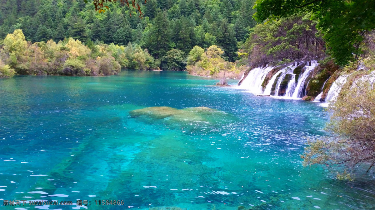 九寨传说 九寨沟 七彩湖 九寨千古情 湖 水 橡皮艇 树叶 树 五彩池 湖水 倒影 树木 山 芳草海 草 旅游摄影 国内旅游