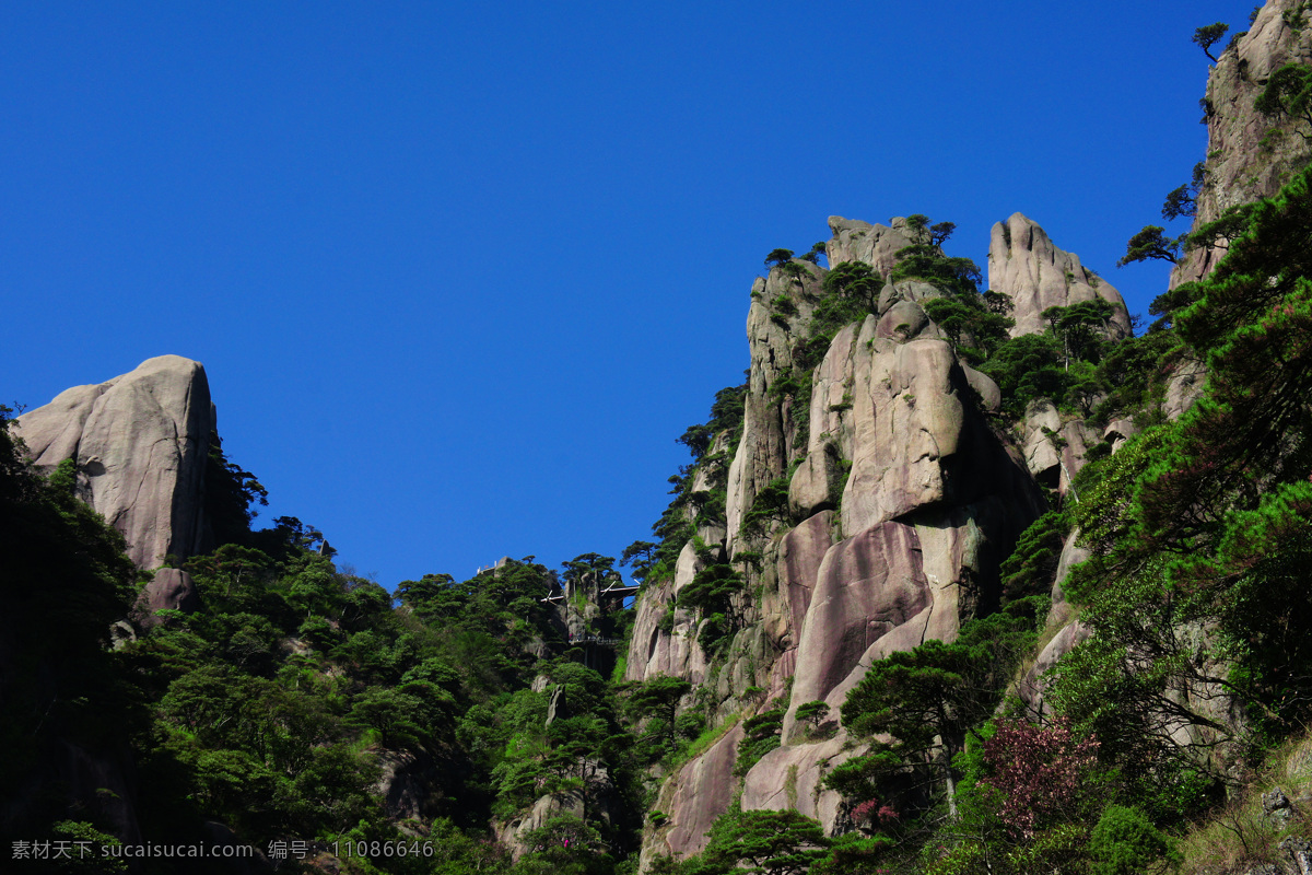 风景 风景画 风景摄影 风景素材 古树 国内旅游 旅游摄影 旅游胜地 三清山 风景图片 三清山风景 迎客松 三清山迎客松 迎客松图 古松树 山水风景 山水摄影 装饰画模板 山水素材 风景山水摄影 自然景观 江西 上饶 装饰素材 山水风景画