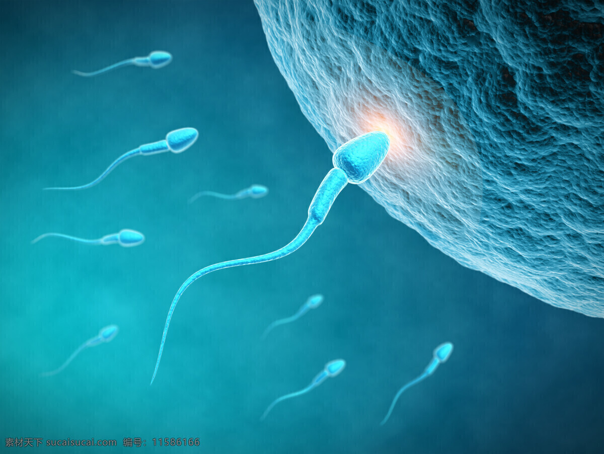 精子 进入 卵细胞 竞争 医疗动画 医疗宣传图片 显微镜 下 医疗护理 现代科技 青色 天蓝色