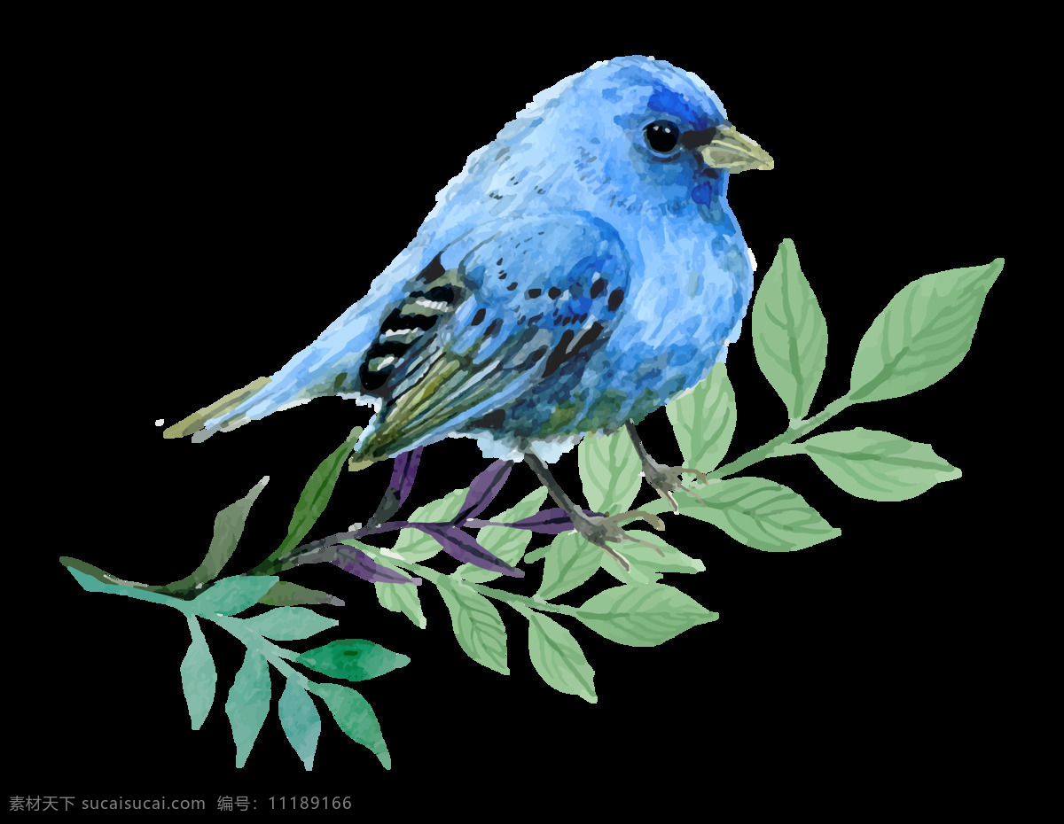 手绘 卡通 水彩 精致 鸟儿 装饰 树叶 蓝色 立体