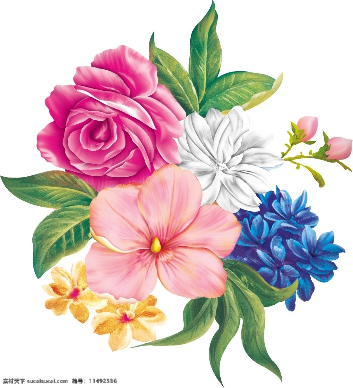 适用印刷 玫瑰花 印刷 花朵 四色 单花 专色印刷 菲林 分层 源文件