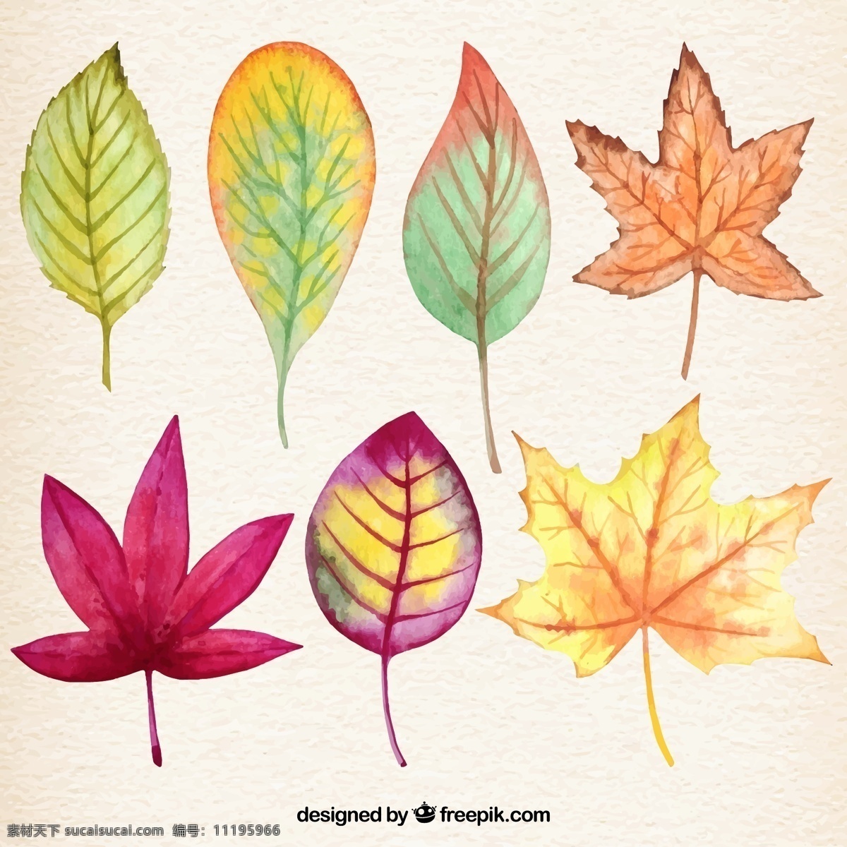水彩 秋天 落叶 树叶 树叶矢量图 树叶图片 落叶图片 矢量 高清图片