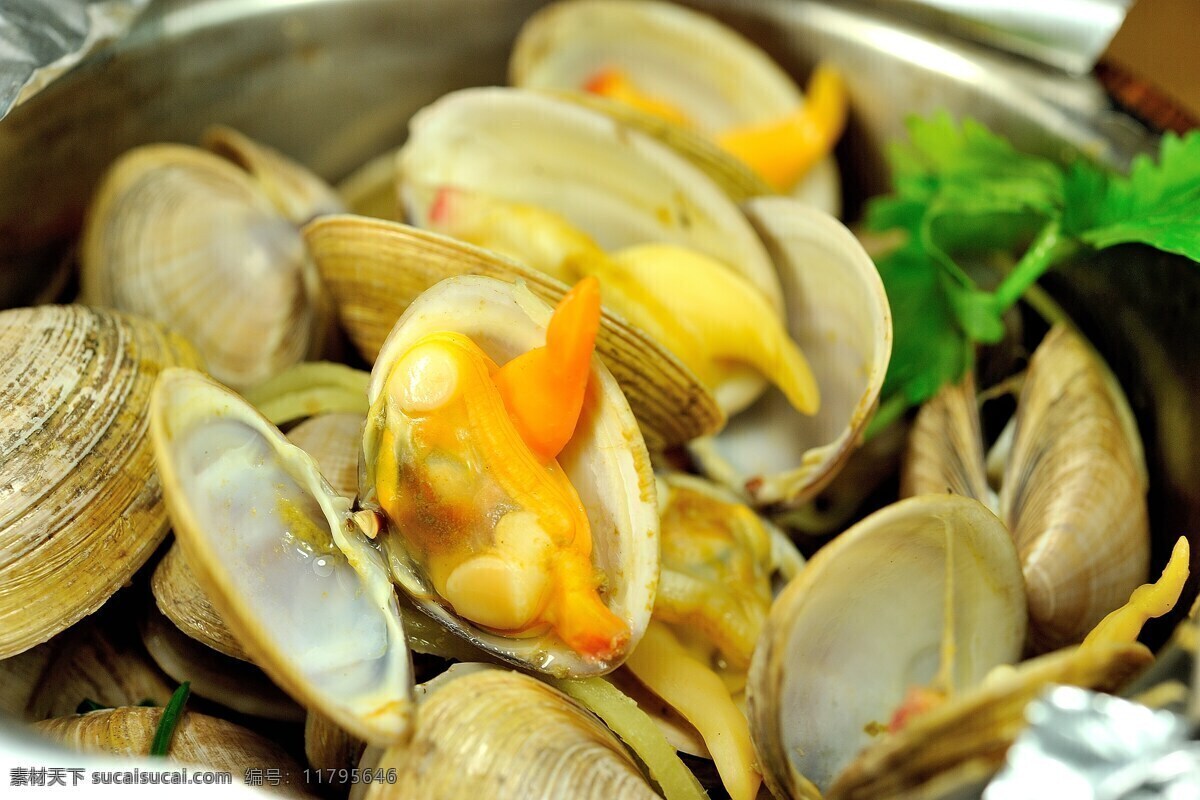 罐焖黄蚬子 美味 美食 海鲜 大排档 黄蚬子 罐 焖 餐饮美食 传统美食