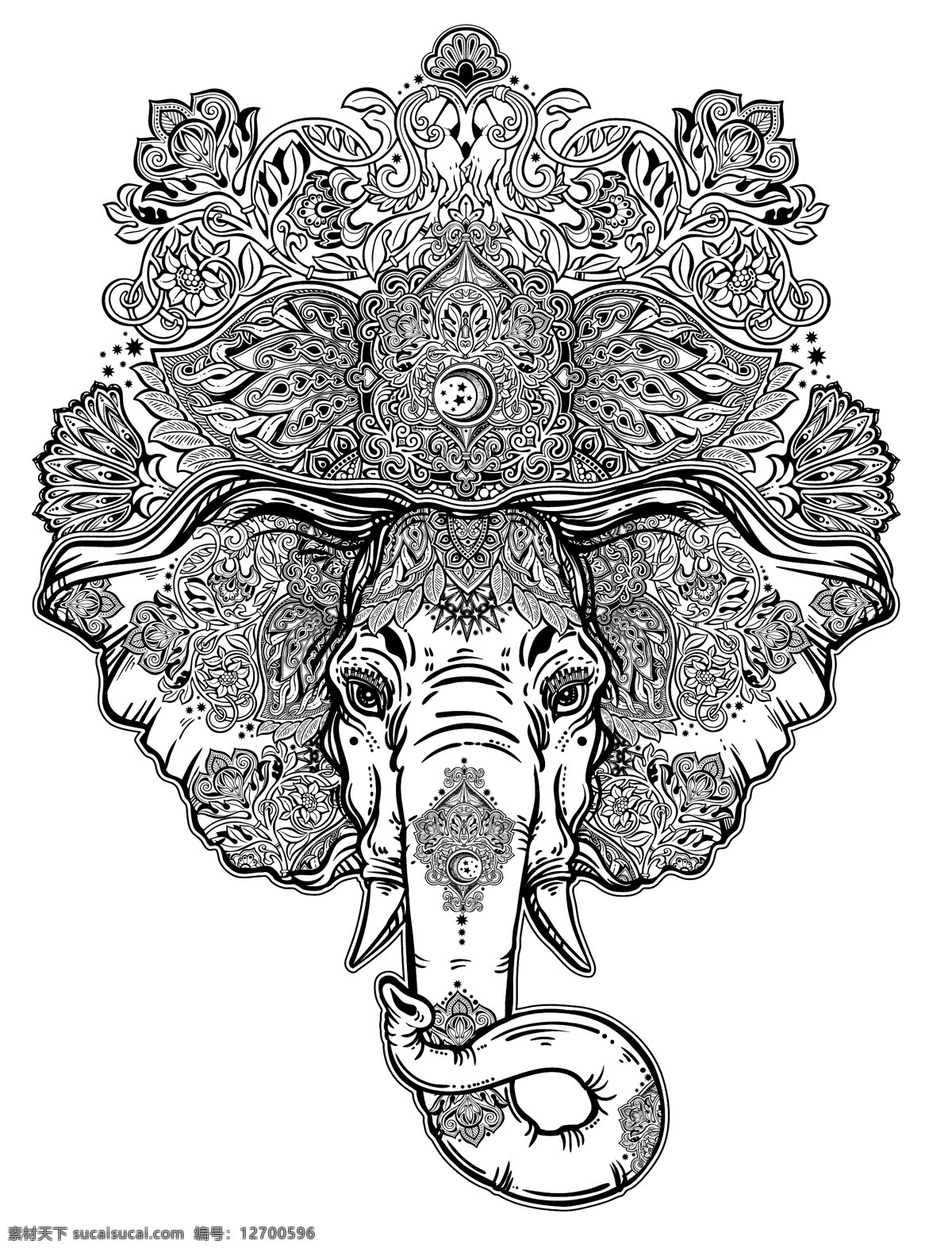 手绘 复杂 花纹 大象 头 矢量 象鼻 动物 象牙 黑白