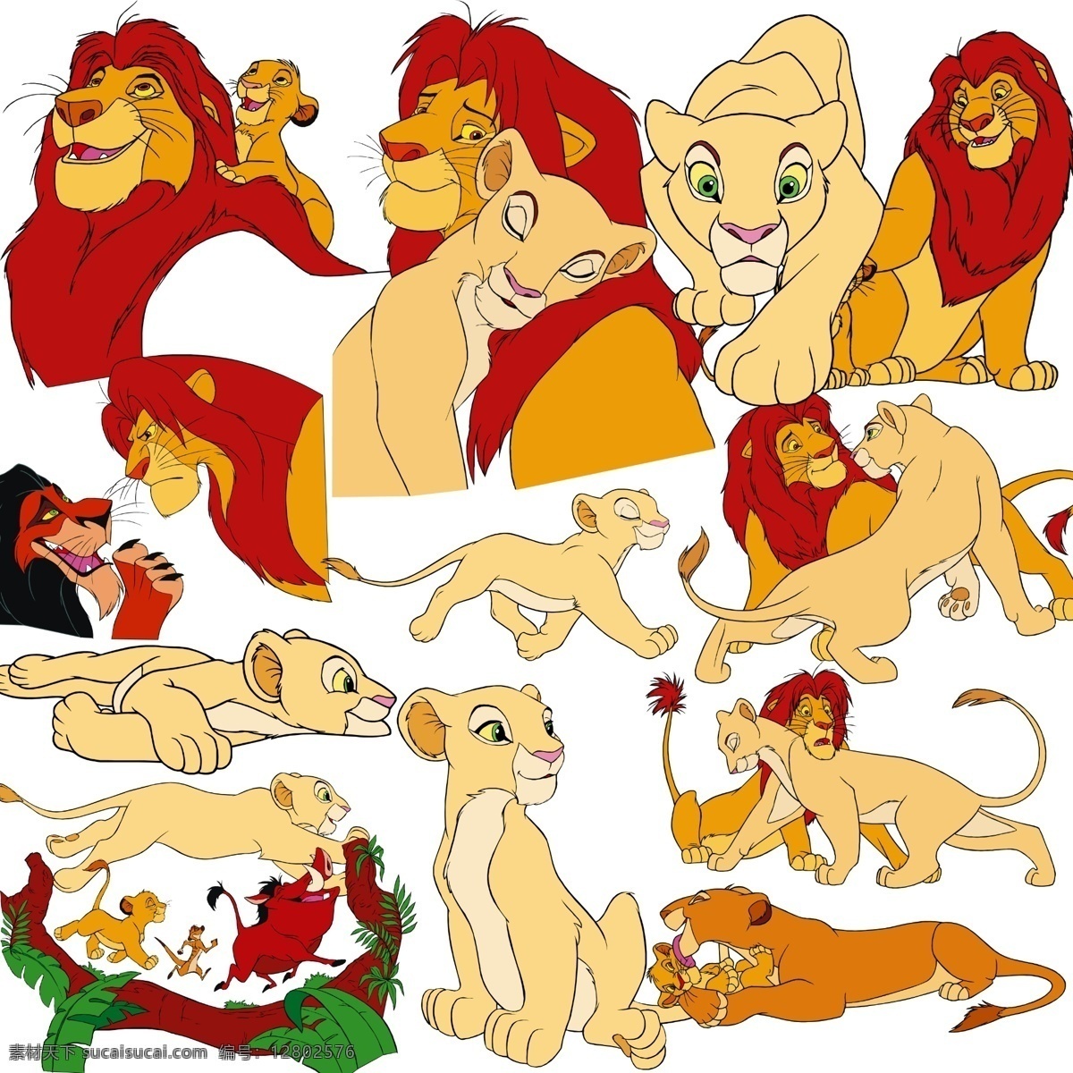 狮子王专辑 国外 经典 卡通 动物 狮子 分层 源文件