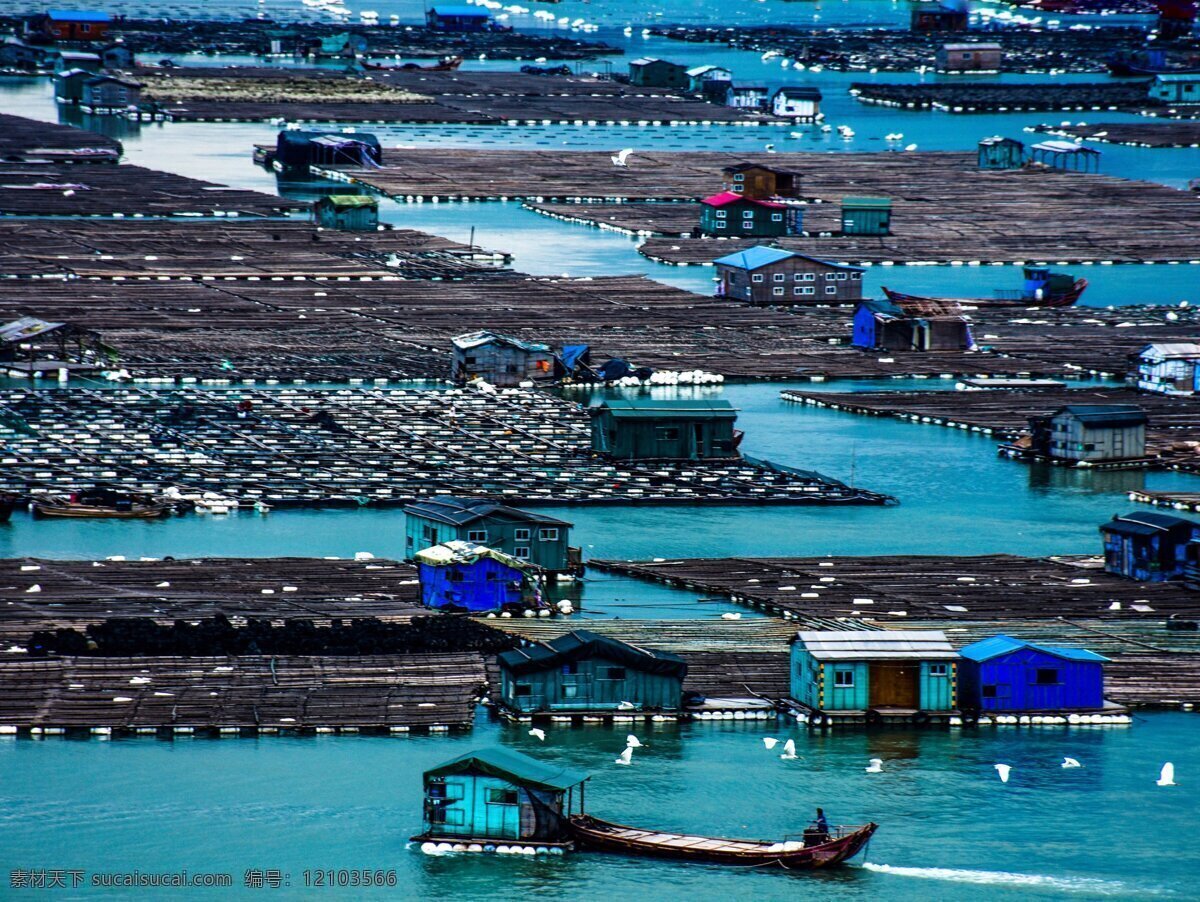 唯美 风景 风光 旅行 福建 厦门 霞浦 霞浦湿地 湿地 湿地公园 美丽霞浦 旅游摄影 国内旅游