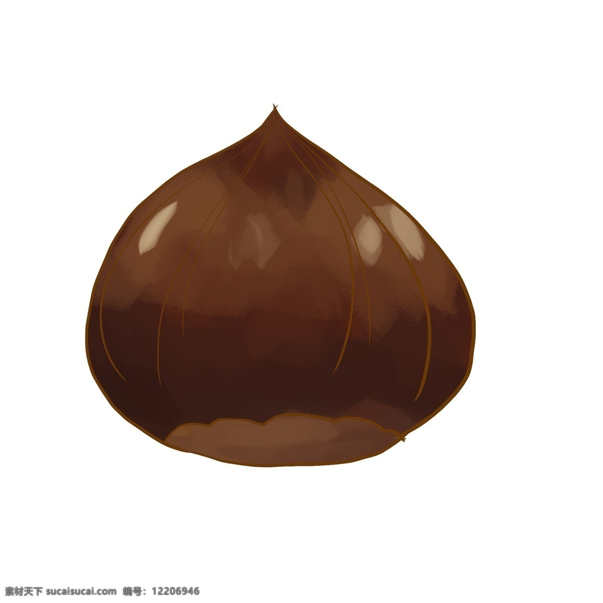 棕色 美味 坚果 插画 棕色的坚果 美味零食 卡通零食插画 零食 食物插画 卡通食物插画 美味的栗子