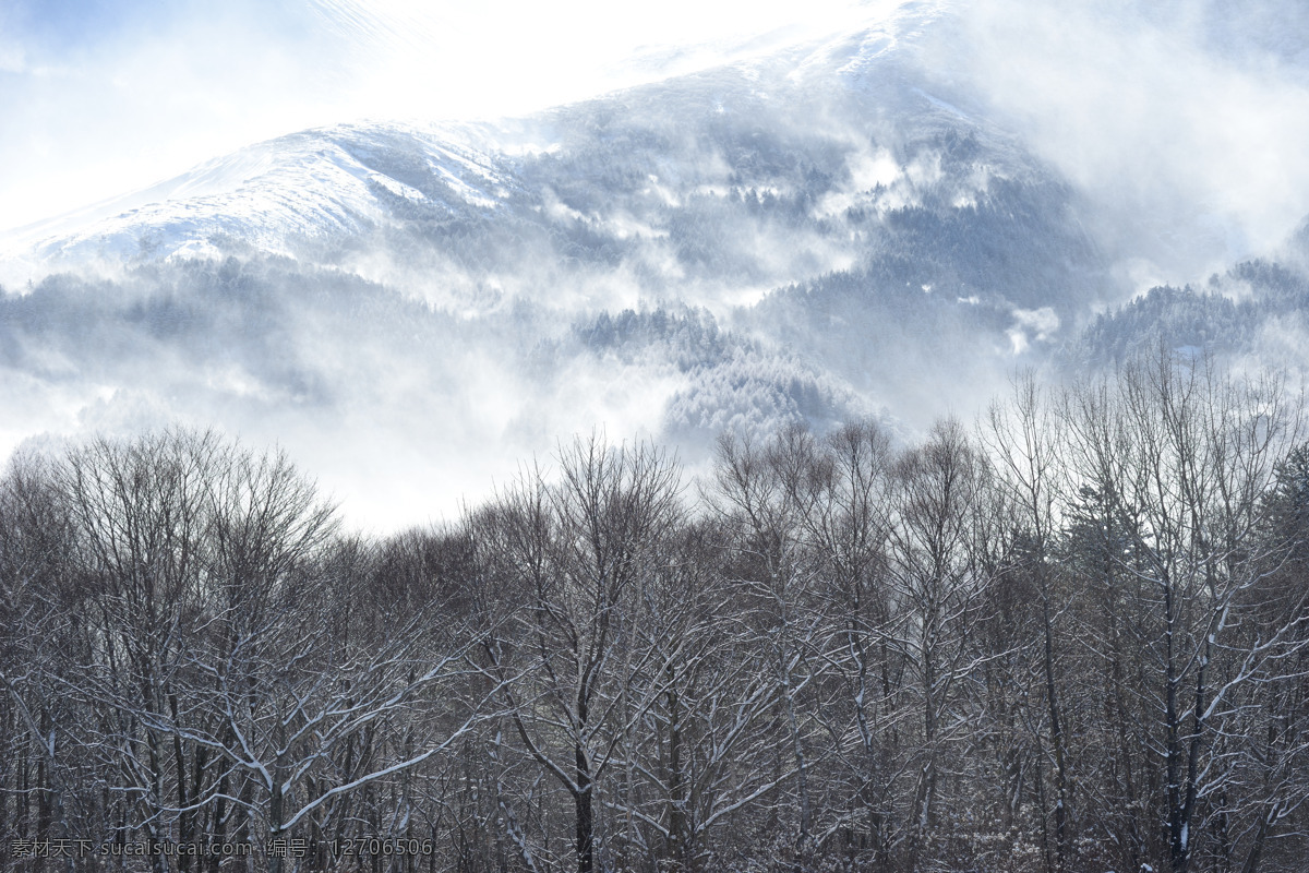 冬日森林 冬天 冬日 冬季 雪 雪山 雪天 雪林 枯萎 树林 森林 雪景 枯树 雾 美景 原始森林 风光 自然景观 自然风景