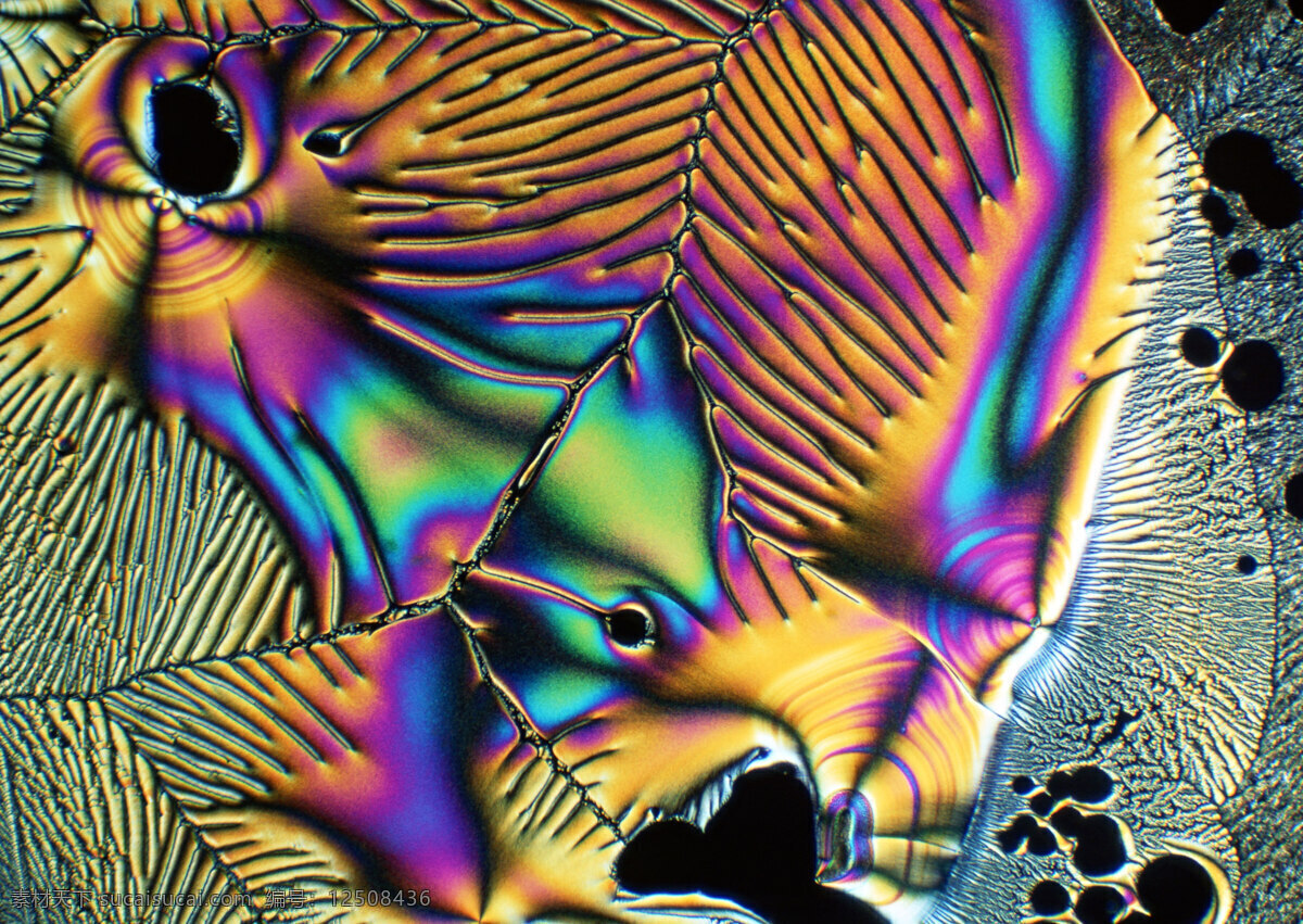 七彩 花纹 细胞 七彩花纹细胞 细胞结晶图片 微观世界 细胞单元 结晶