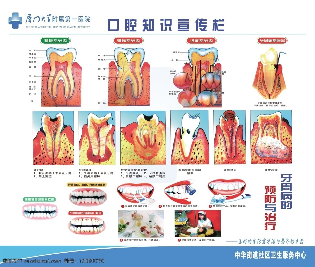 牙科 宣传栏 口腔 知识 海报 宣传 dm宣传单 广告设计模板 源文件