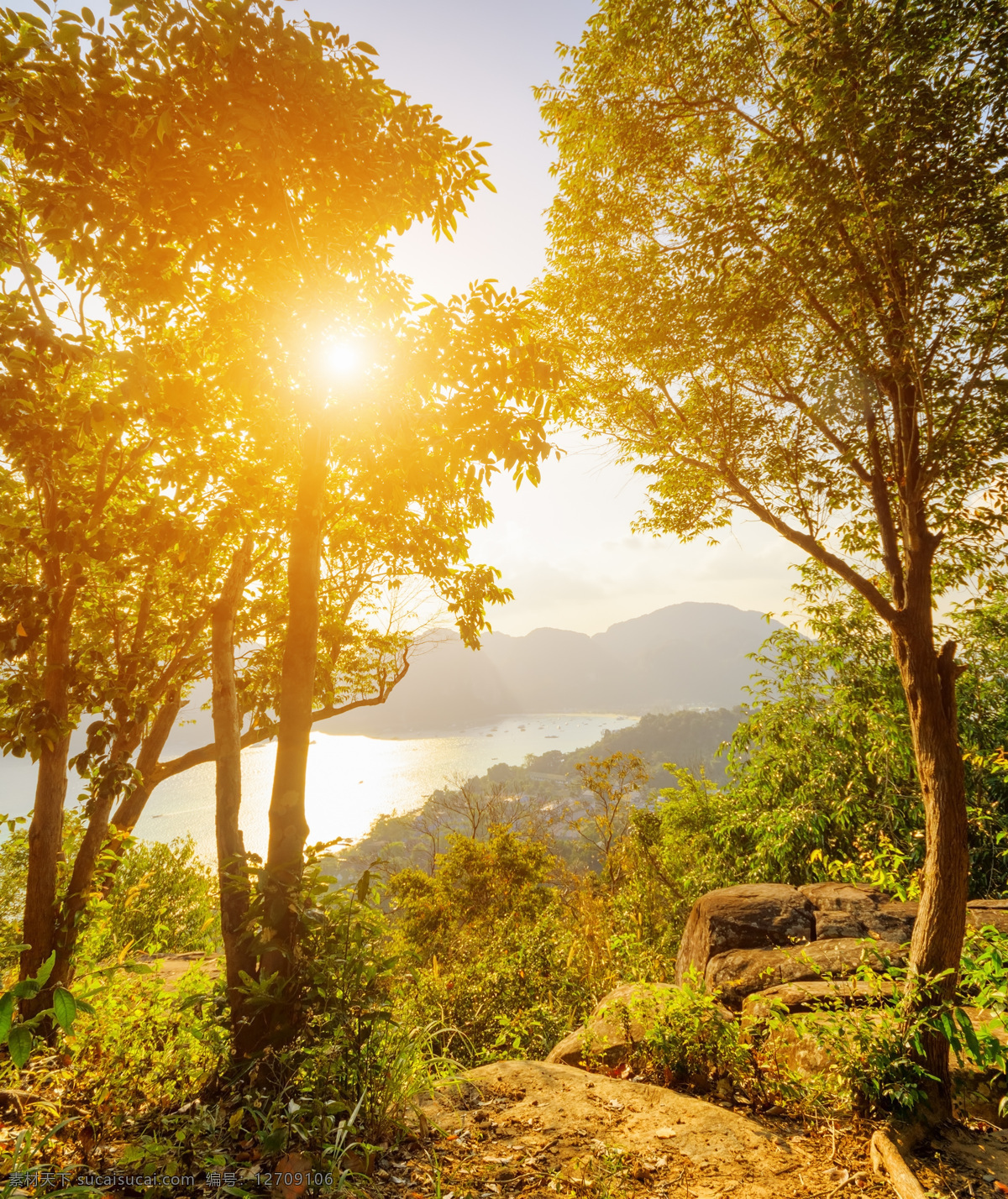 阳光 树木 风景 树木风景 湖泊风景 夕阳 黄昏风景 美丽风景 风景摄影 自然美景 美丽风光 山水风景 风景图片