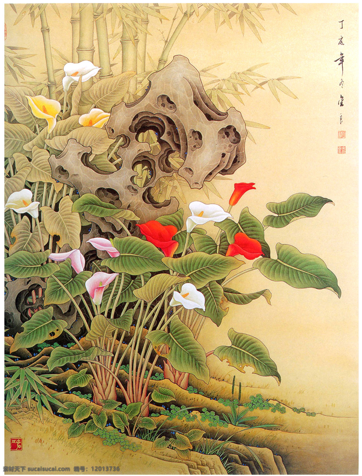 马蹄莲 工笔 国画 绘画 古典 动物 花鸟 中国风 绘画书法 文化艺术