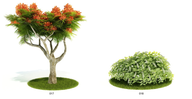 大树 花草 模型 盛开 植物 3d模型素材 动植物模型