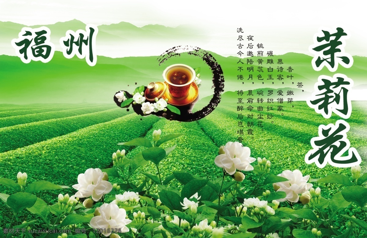 茉莉花茶 茉莉花 茶 福州 花茶 茶杯 茶园 茶社 绿色 绿色背景