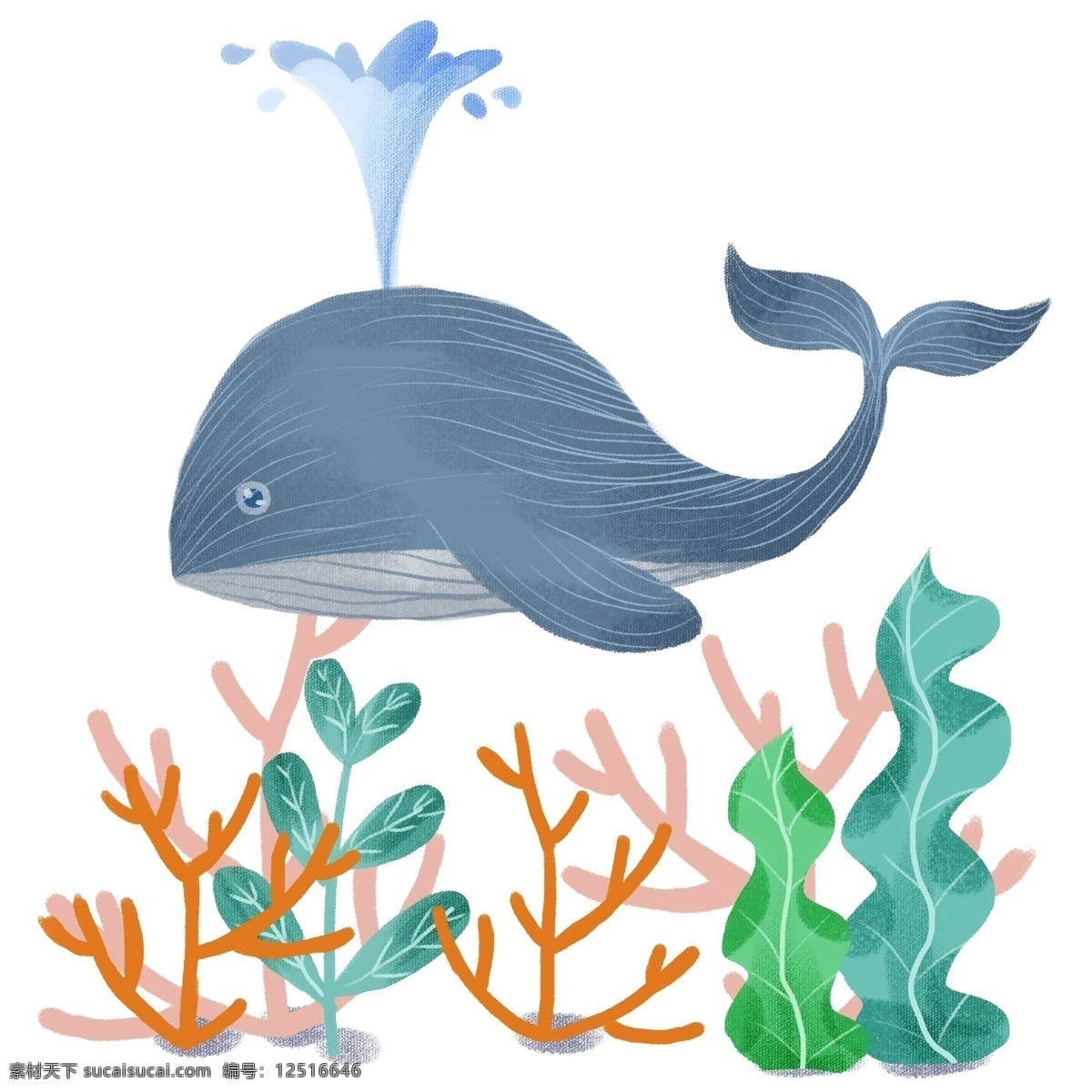 手绘 海洋 鲸鱼 喷水 卡 爱卡 通 海底 珊瑚 海草 卡爱 卡通