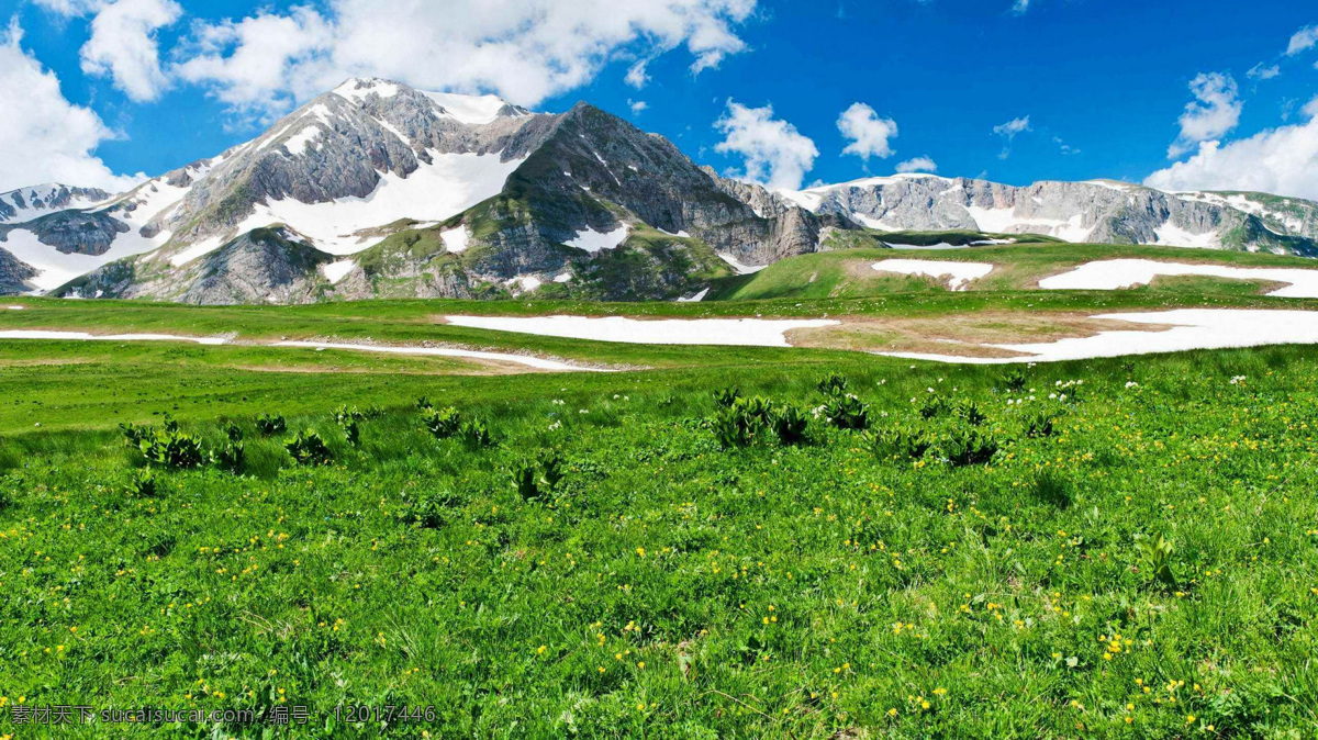 草地蓝天 草原 雪山 蓝天 白云 草地 自然风景 自然景观