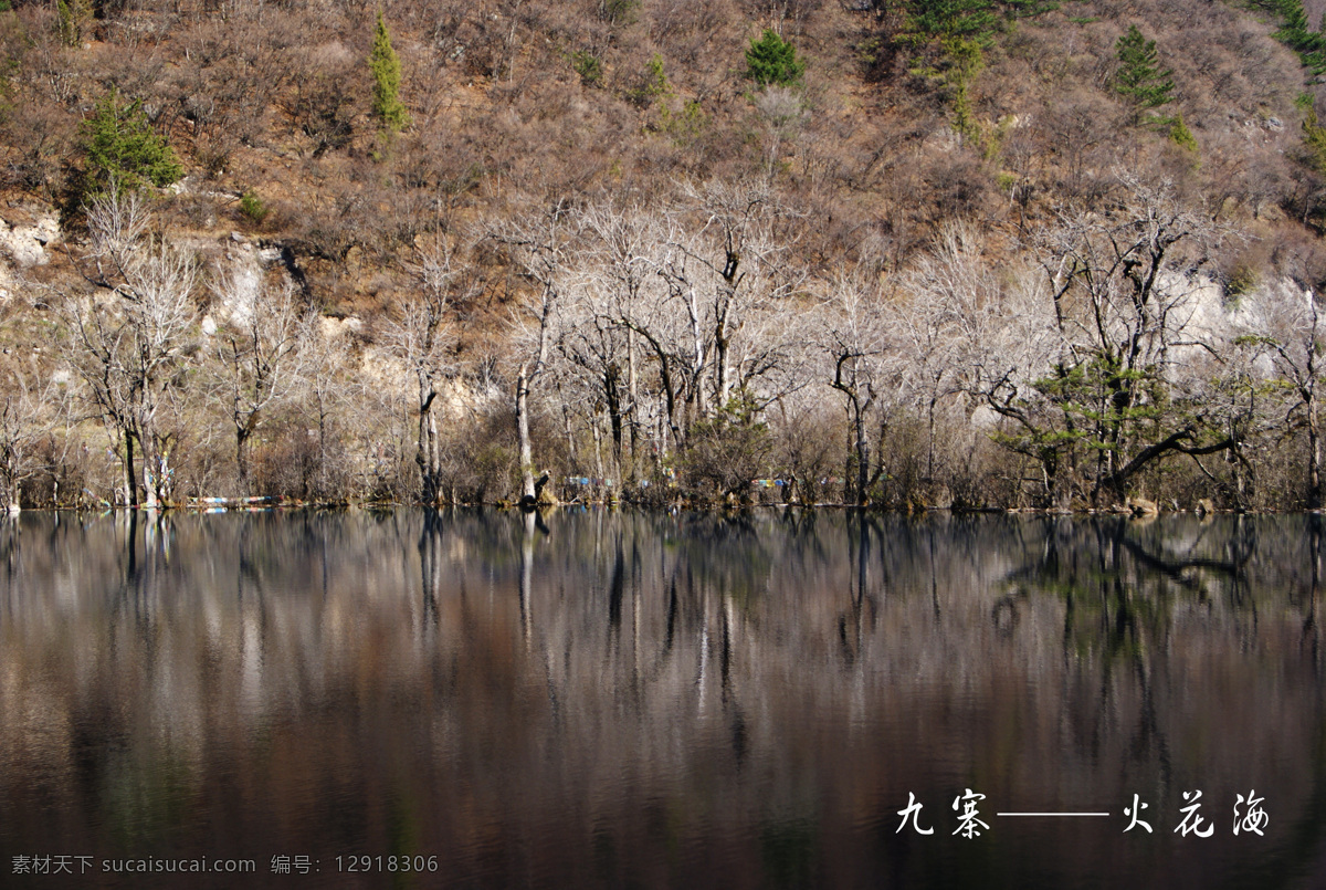 火花海 九寨沟 河水 干枯树枝 九寨风光 自然风景 旅游摄影