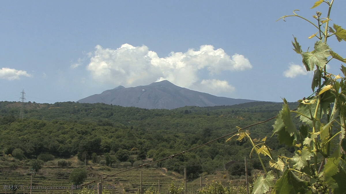 西西里岛 埃特纳火山 葡萄 股票 录像 火山 葡萄园 山 视频免费下载 意大利 其他视频
