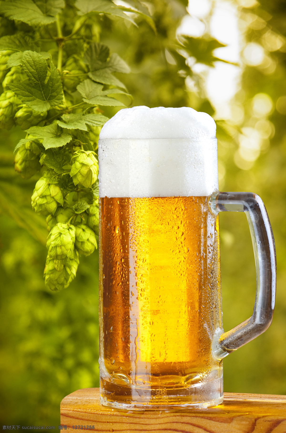 新鲜 啤酒 啤酒酒 一杯啤酒 水珠 绿色植物 高清图片 餐饮美食
