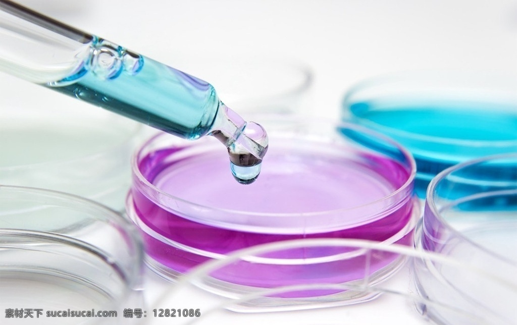 化学实验 科学实验 生化试验 生物实验 试验工具 实验用具 试管 滴管 科学研究 现代科技