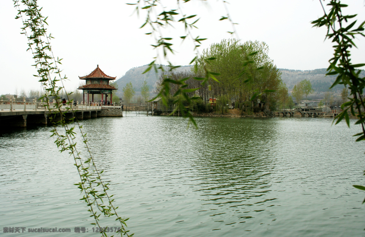 树免费下载 风景 山 山水风景 摄影图 树 植物 自然景观 水 家居装饰素材 山水风景画