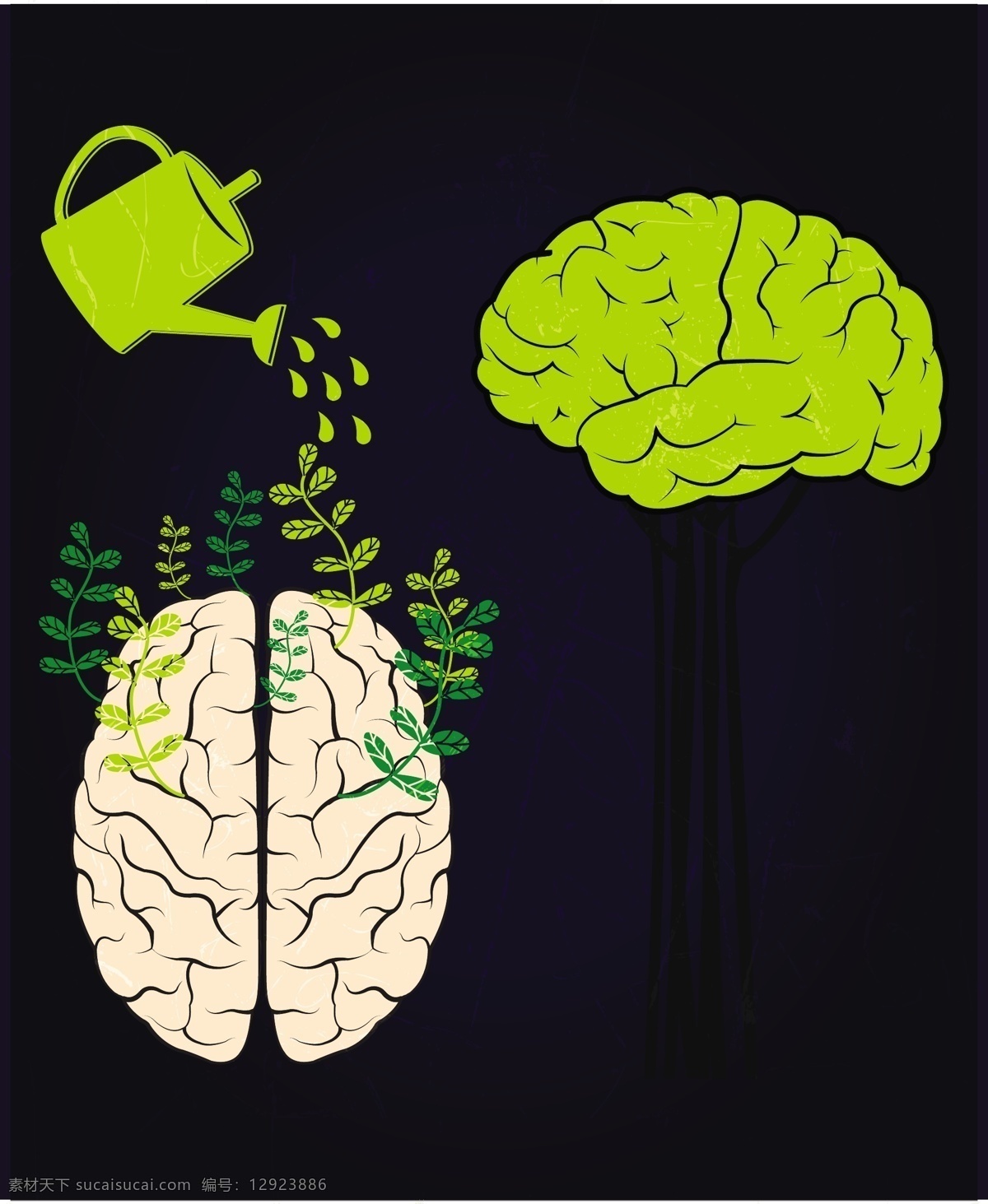 大脑 成长 背景 淋 壶 图标 脑 植物 浇水 绿色大脑 大脑植物 矢量背景