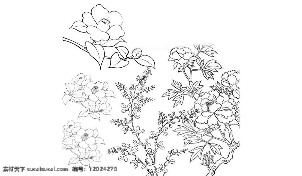 线描 花朵 花卉 装饰 笔刷 线描花朵花卉 装饰笔刷