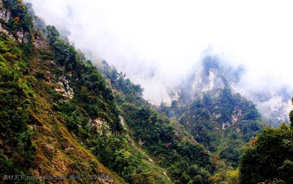 三江云雾 大山 云雾 森林 树 山石 自然风景 旅游摄影