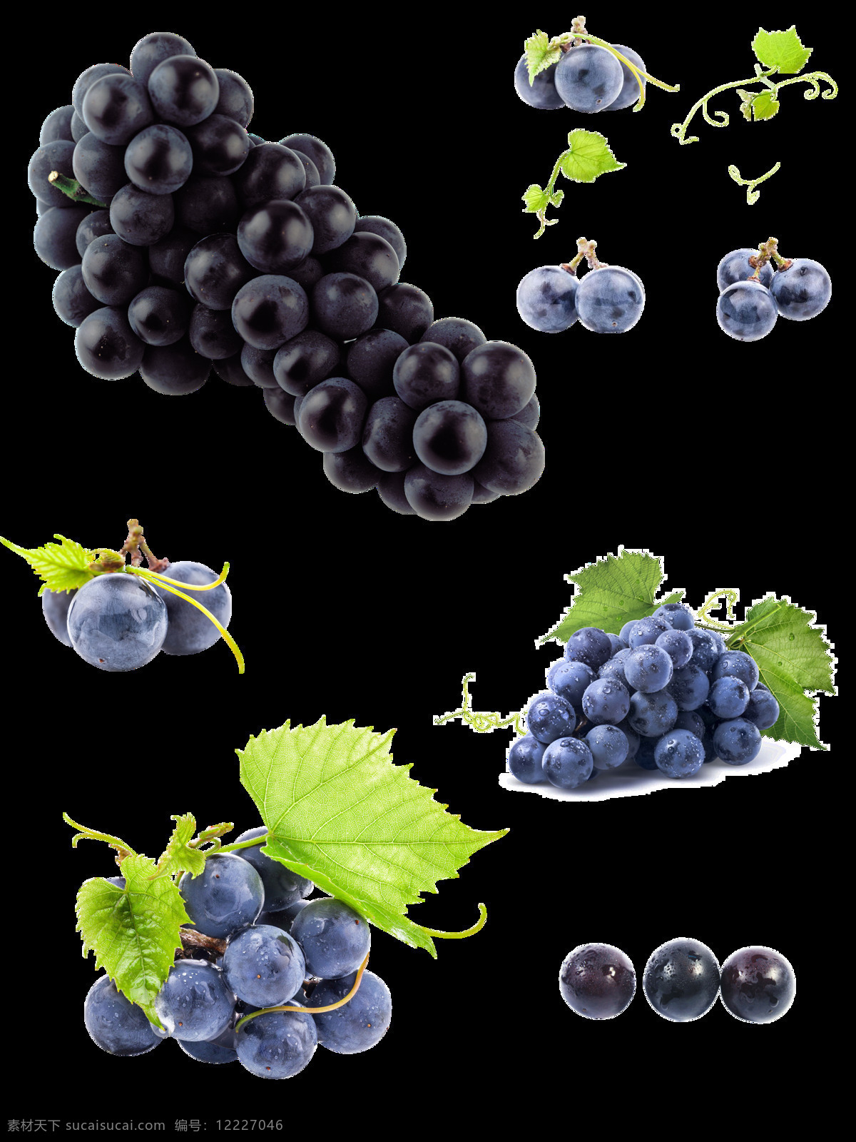 葡萄抠图图片 葡萄叶 单个 两个 三个 一串葡萄 分层