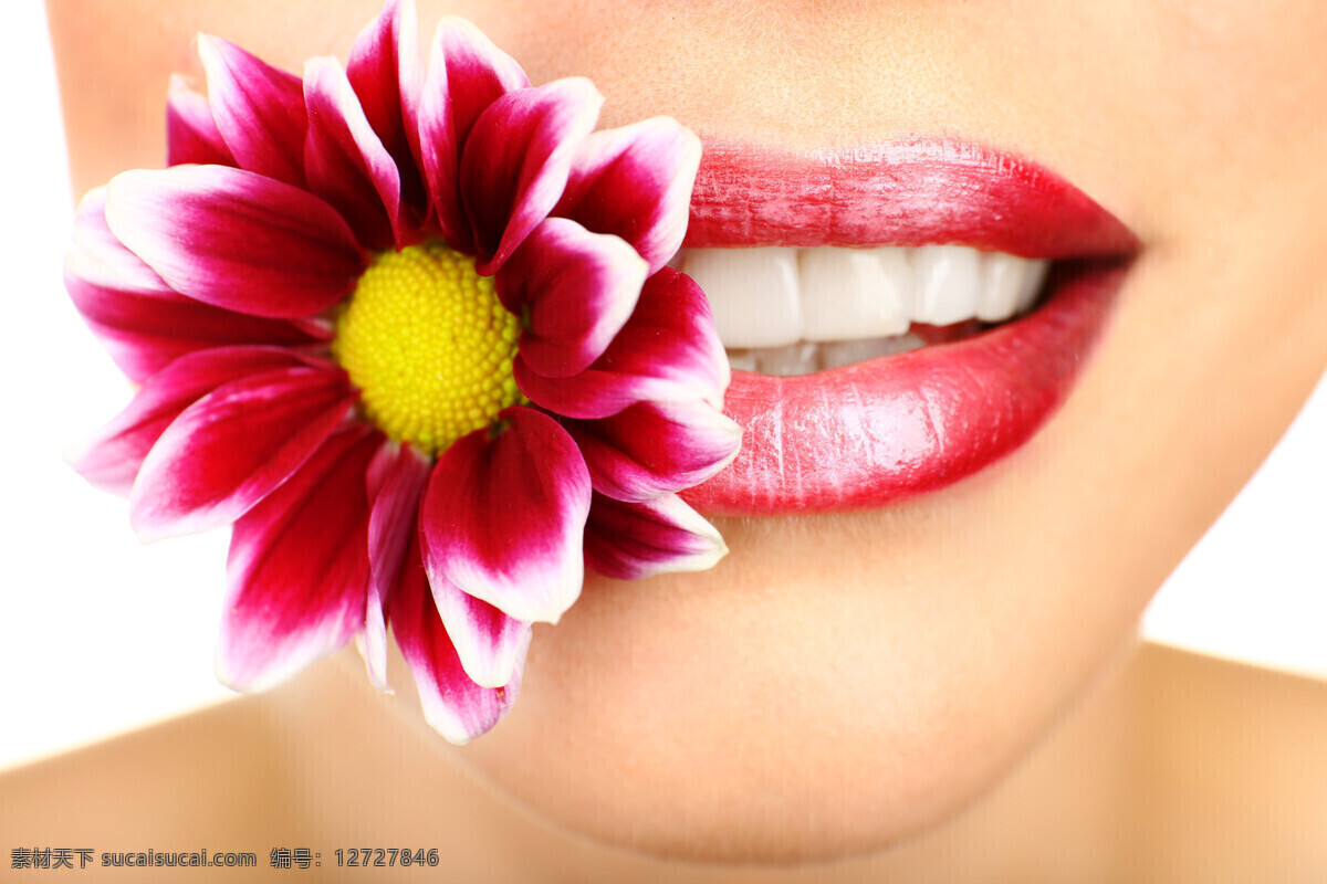 含 鲜花 性感 红唇 嘴巴 唇 花朵 女人 美女 人体器官 人体器官图 人物图片